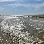 In Near Sandy Beaches