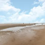 In Near Sandy Beaches