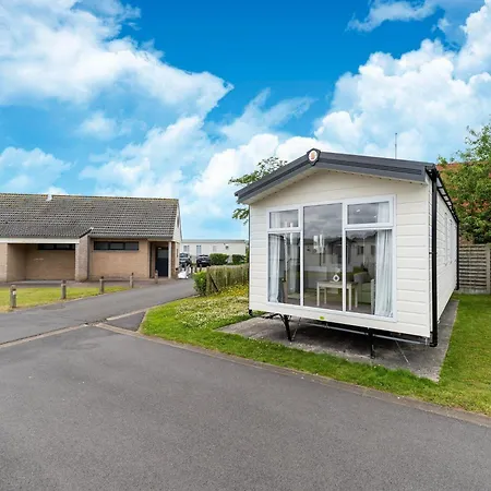 In Near Sandy Beaches