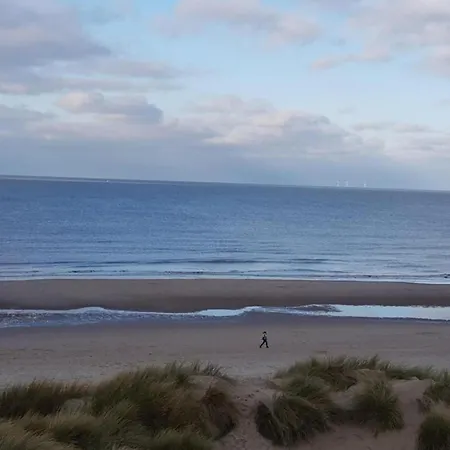 In Near Sandy Beaches *