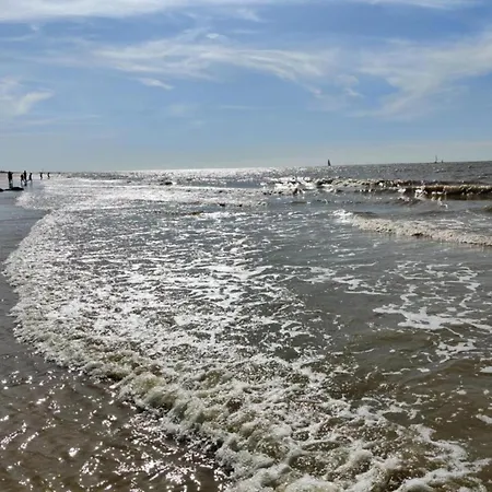 In Near Sandy Beaches