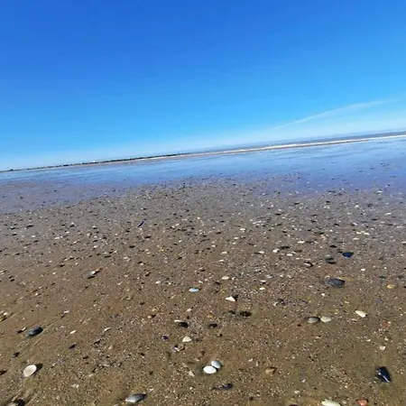 בקתה In Near Sandy Beaches *