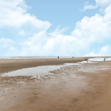 In Near Sandy Beaches