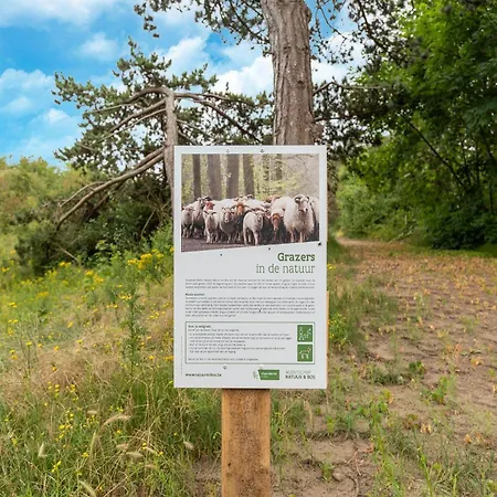 In Near Sandy Beaches Chalet *