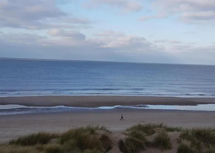 In Near Sandy Beaches *