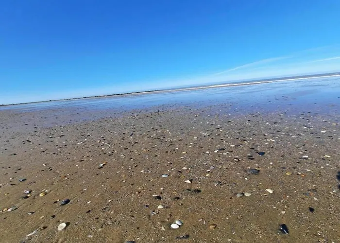 Chalet In Near Sandy Beaches *