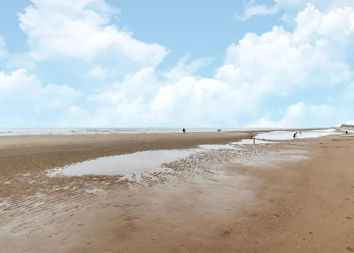 In Near Sandy Beaches