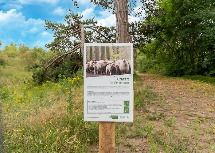 In Near Sandy Beaches Chalet *