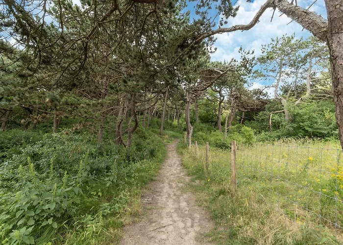 In Near Sandy Beaches Chalet De Haan